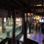 Subtile Essence | Dubai Aquarium & Underwater Zoo, Dubai Mall