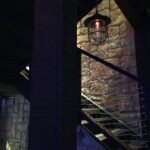 Subtile Essence | Dubai Aquarium & Underwater Zoo, Dubai Mall